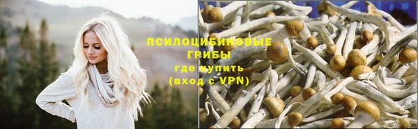 прущие грибы Балахна