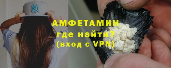 прущие грибы Балахна