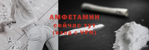 прущие грибы Балахна