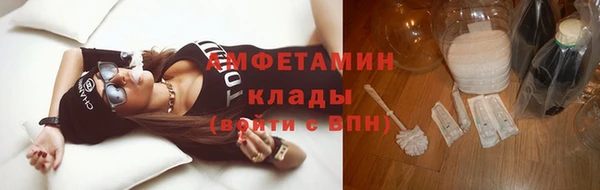 прущие грибы Балахна
