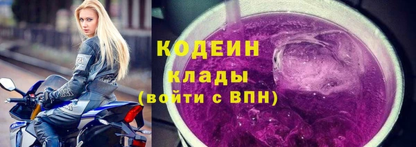 прущие грибы Балахна